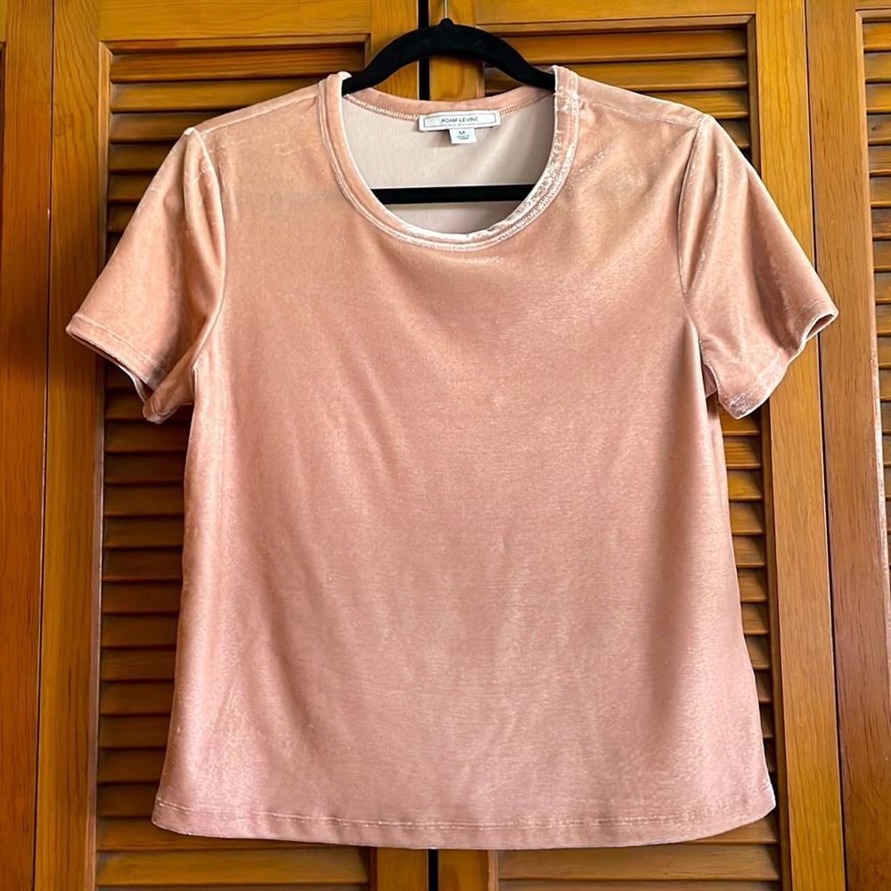 Dusty Rose Velvet Tee